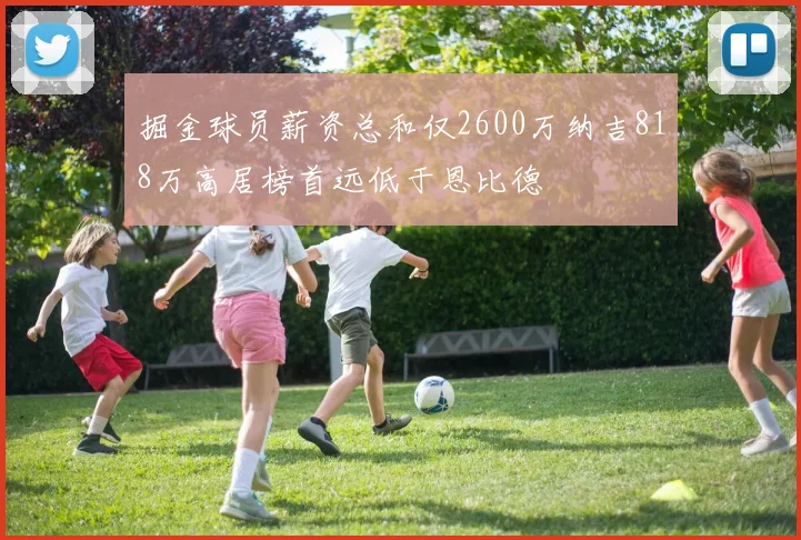 掘金球员薪资总和仅2600万纳吉818万高居榜首远低于恩比德