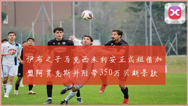 伊布之子马克西米利安正式租借加盟阿贾克斯并附带350万买断条款