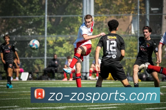 中欧体育平台生态图